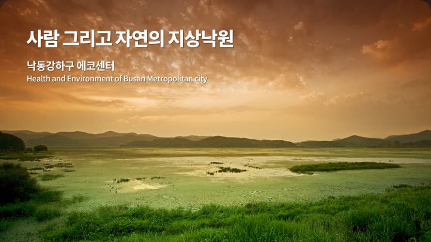 낙동강하구에코센터 대표 이미지