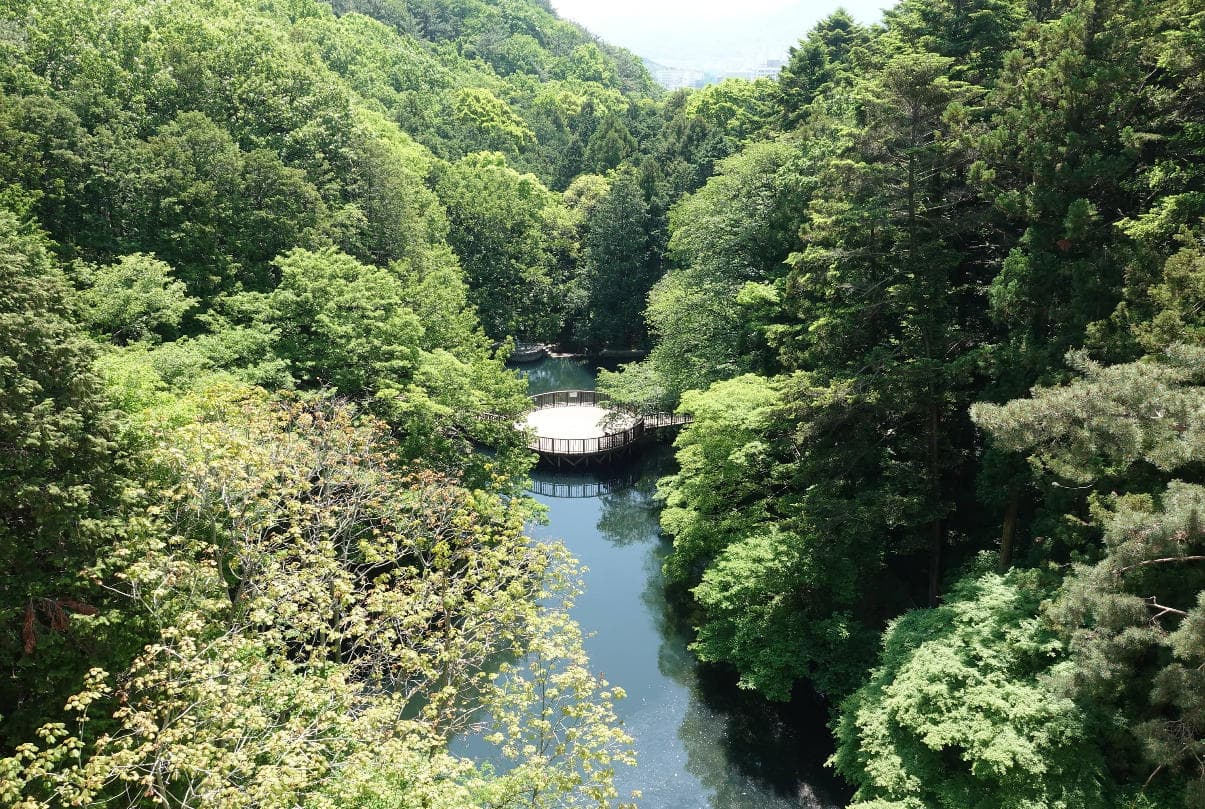 부산 어린이대공원 대표 이미지