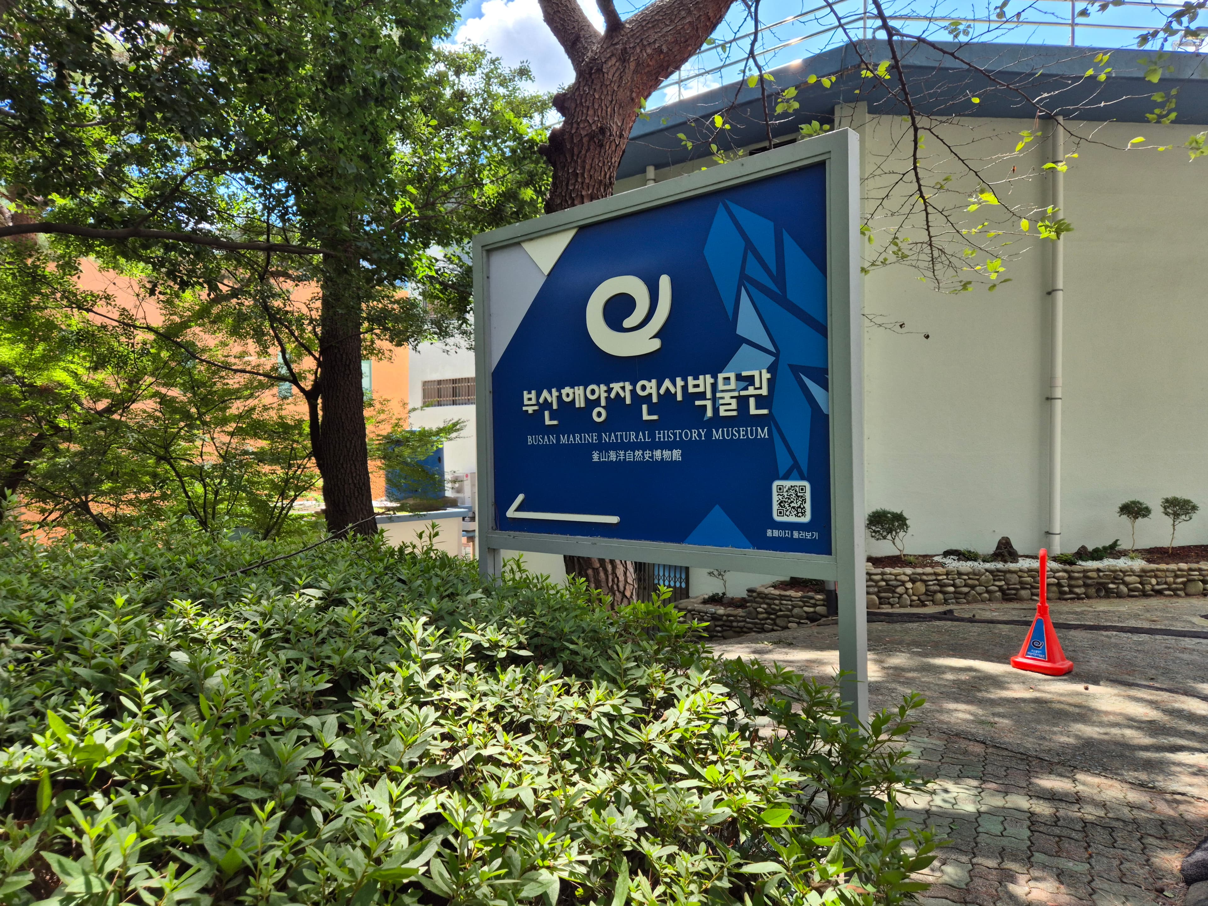 부산해양자연사박물관 대표 이미지 1