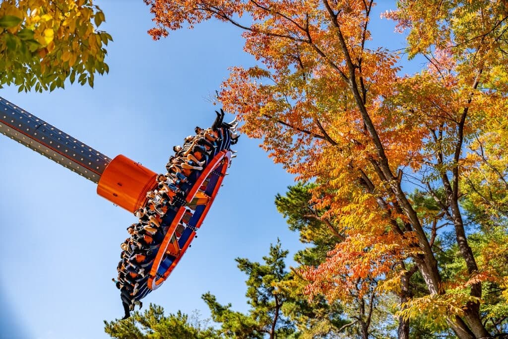 이월드 대표 이미지