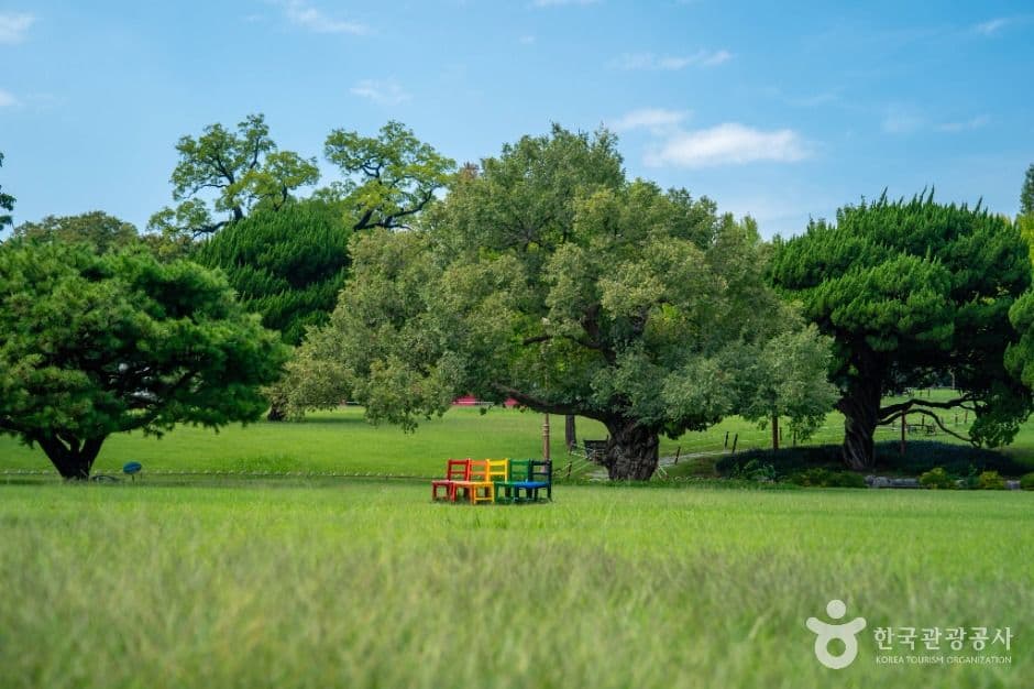 달성공원 대표 이미지