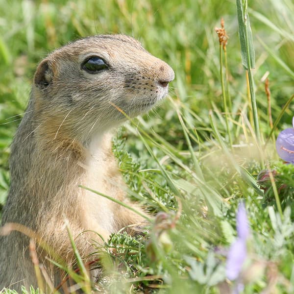 네이처파크 대표 이미지