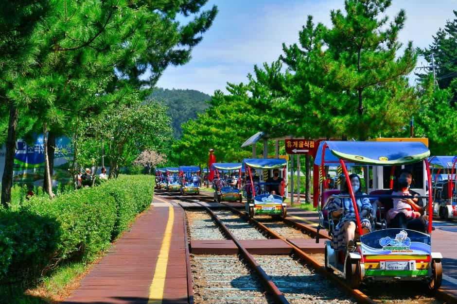 삼척 해양 레일바이크 대표 이미지