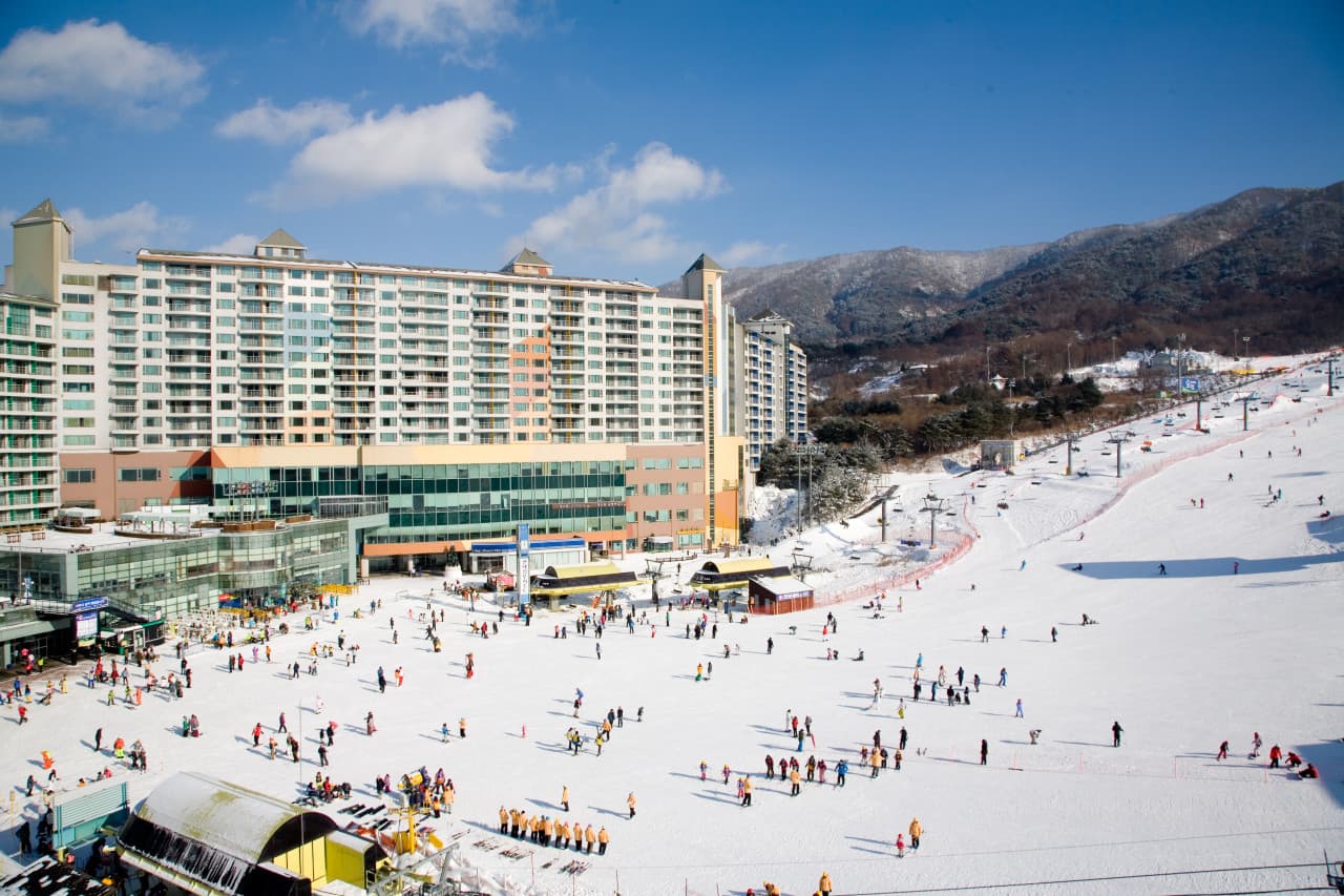 횡성 웰리힐리파크 루지 대표 이미지