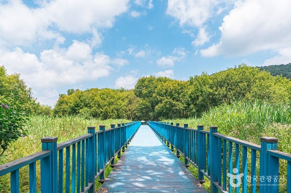 광주호수생태원 대표 이미지