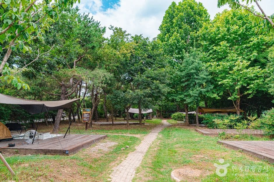 광주 시민의 숲(물놀이장) 대표 이미지