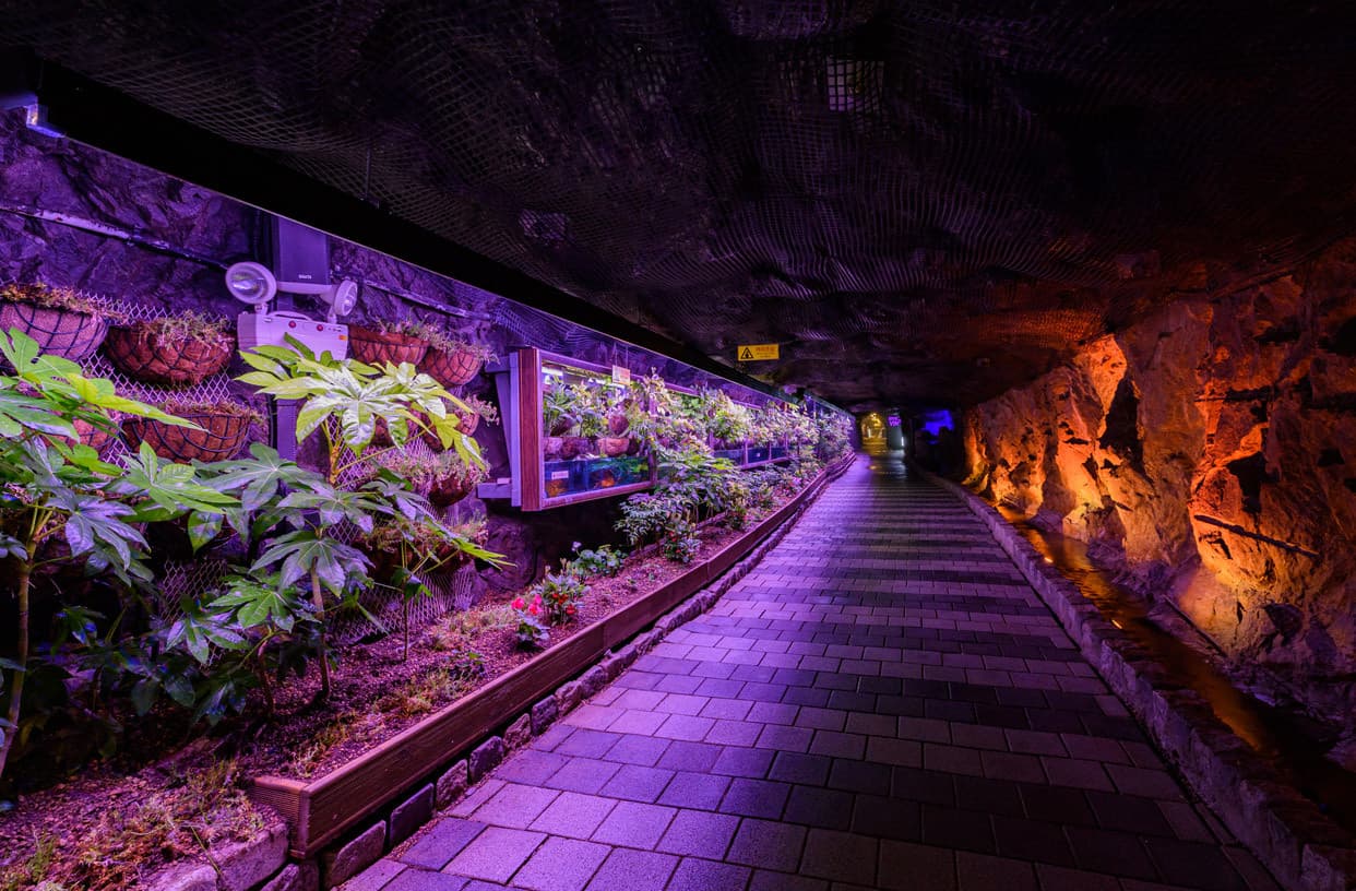 광명동굴 대표 이미지