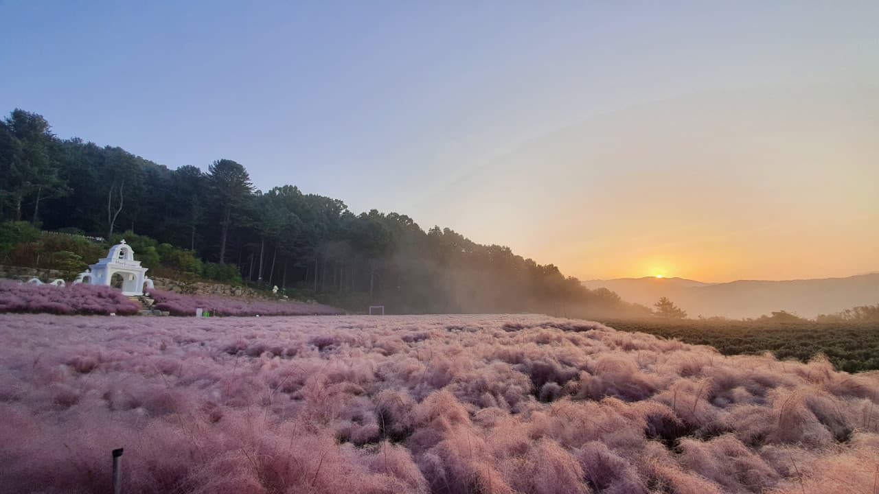 허브아일랜드 대표 이미지