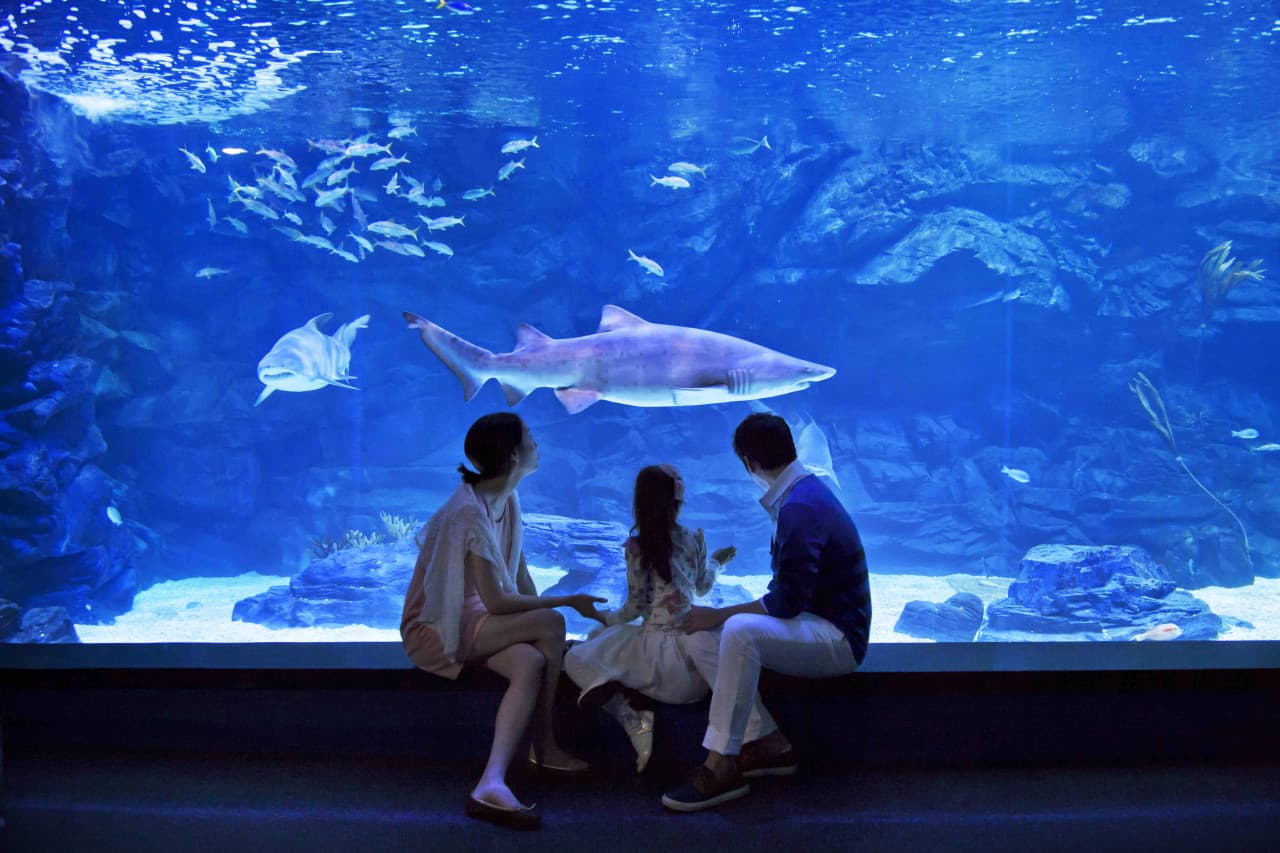 일산 아쿠아플라넷 대표 이미지