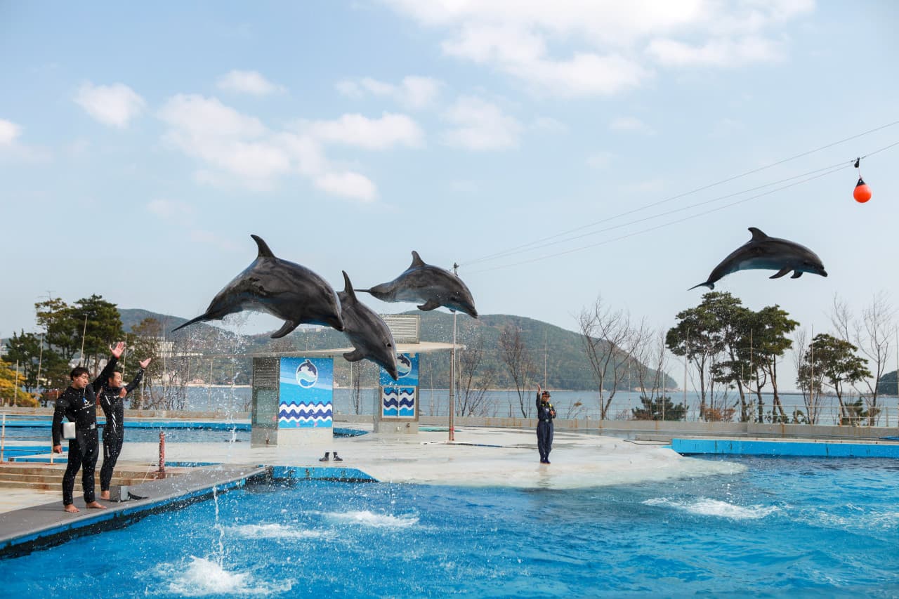 거제 씨월드 대표 이미지