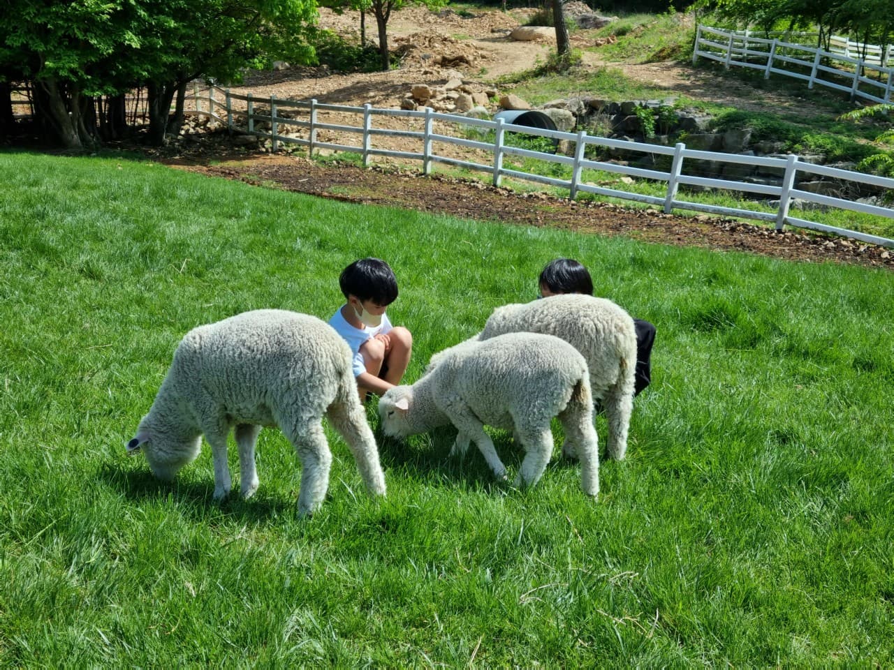 남해 양마르뜨 언덕 대표 이미지