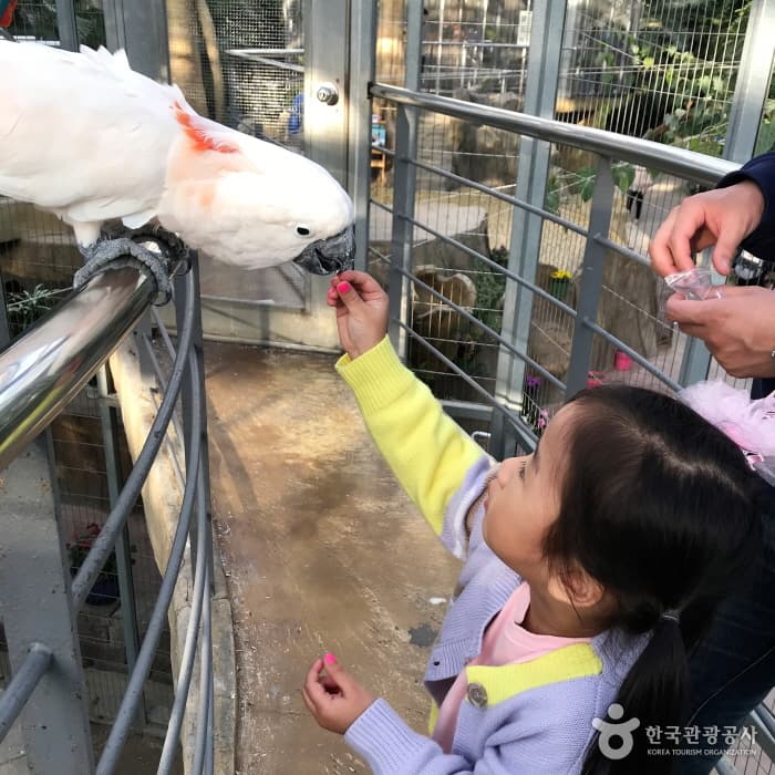 경주 버드파크 대표 이미지