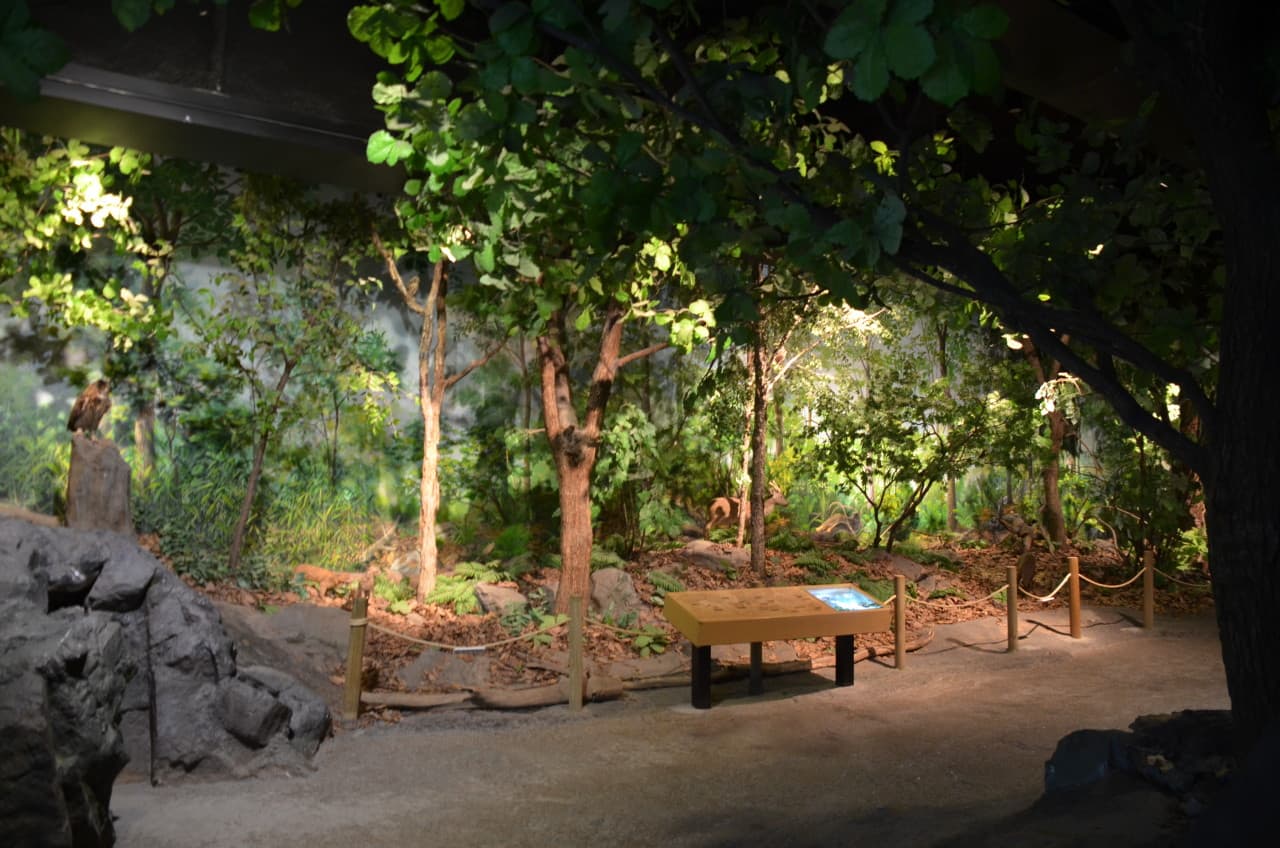 국립생물자원관 대표 이미지