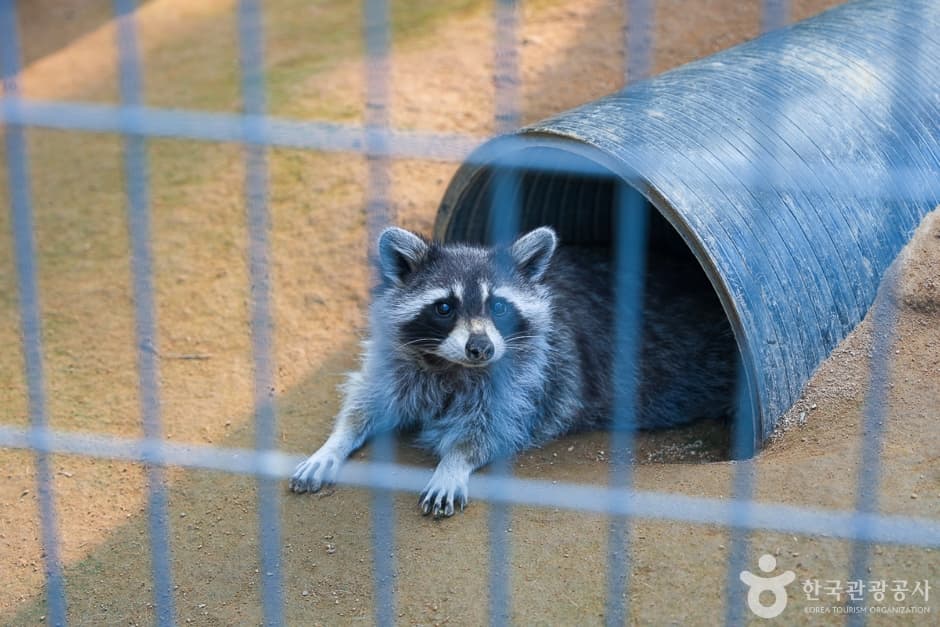 인천대공원 어린이동물원 대표 이미지