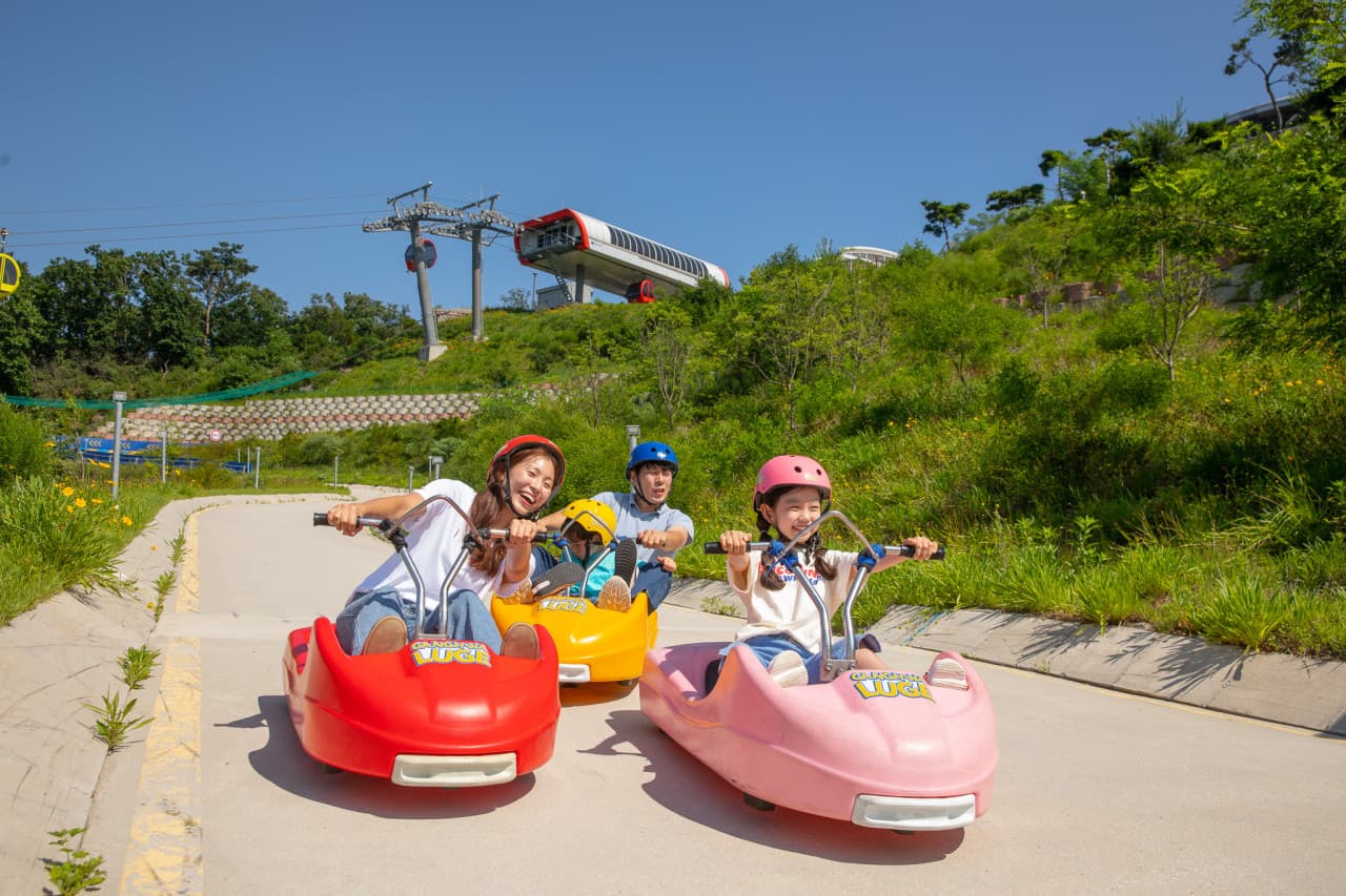 강화 루지 (강화씨사이드리조트) 대표 이미지