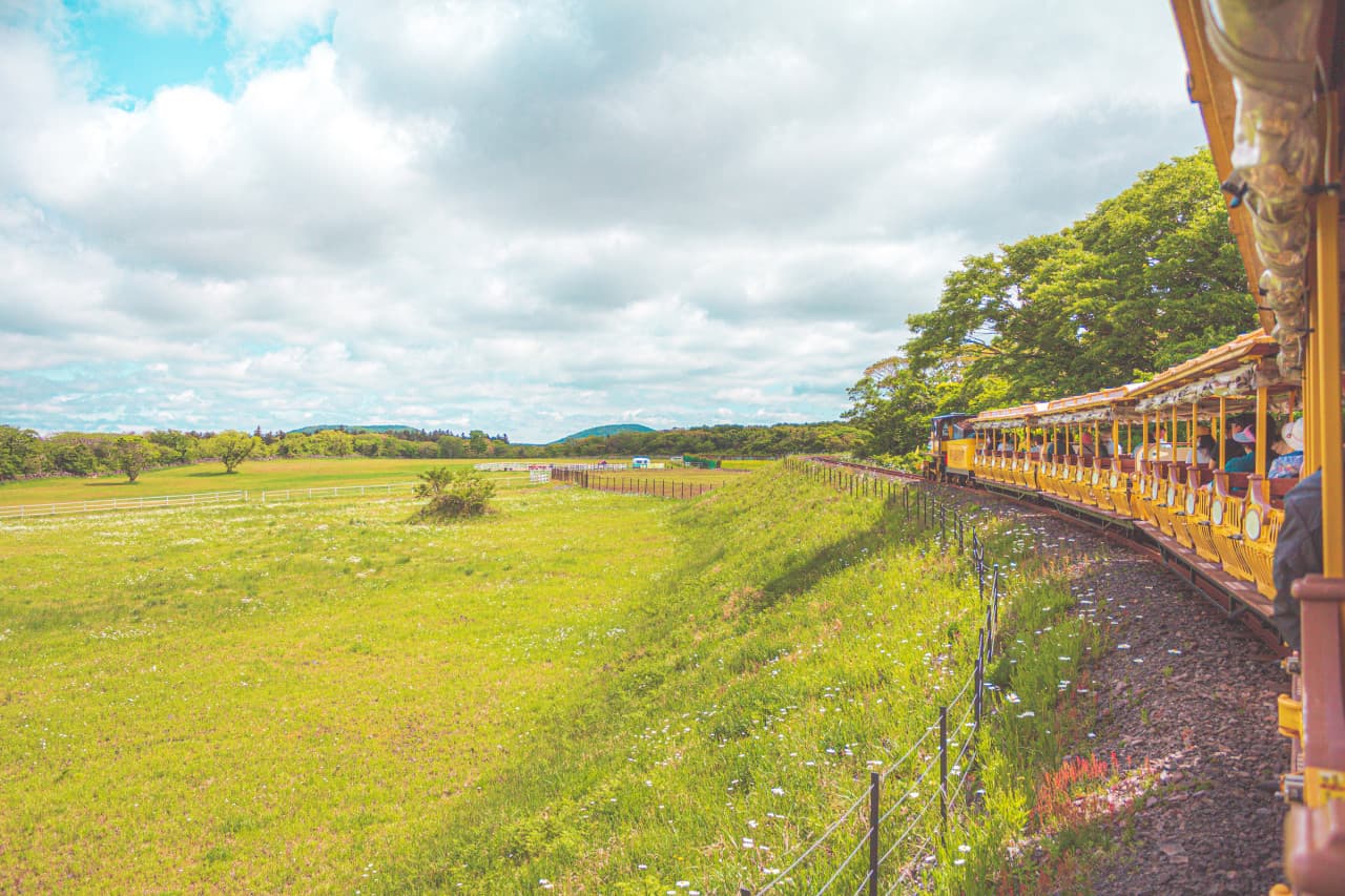 에코랜드 테마파크 대표 이미지