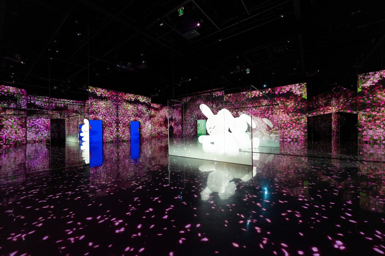 아르떼뮤지엄 제주 대표 이미지