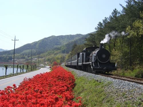 곡성 섬진강 기차마을 대표 이미지