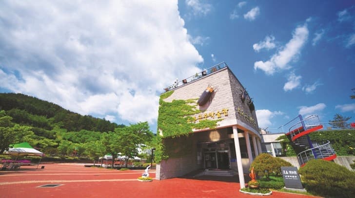 무주 반디랜드 대표 이미지