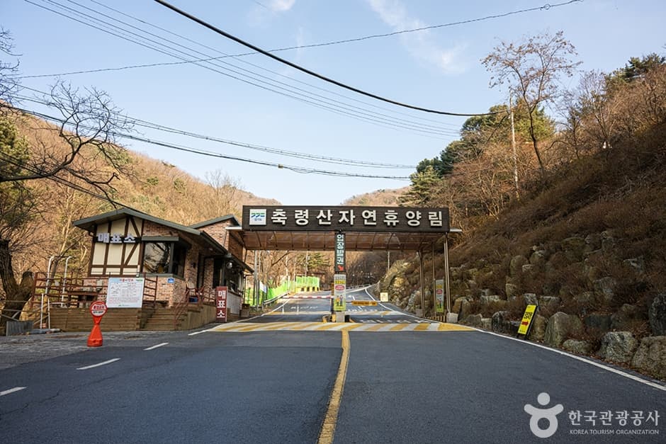 장성 축령산 편백숲(치유의 숲) 대표 이미지