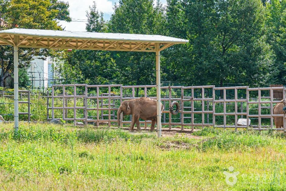 전주 동물원 대표 이미지