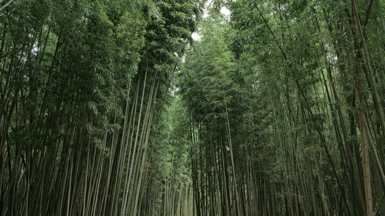 태화강 국가정원 대표 이미지