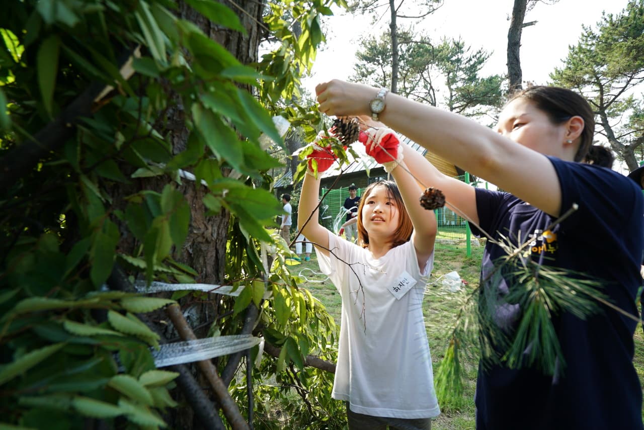 대왕별 아이누리 대표 이미지