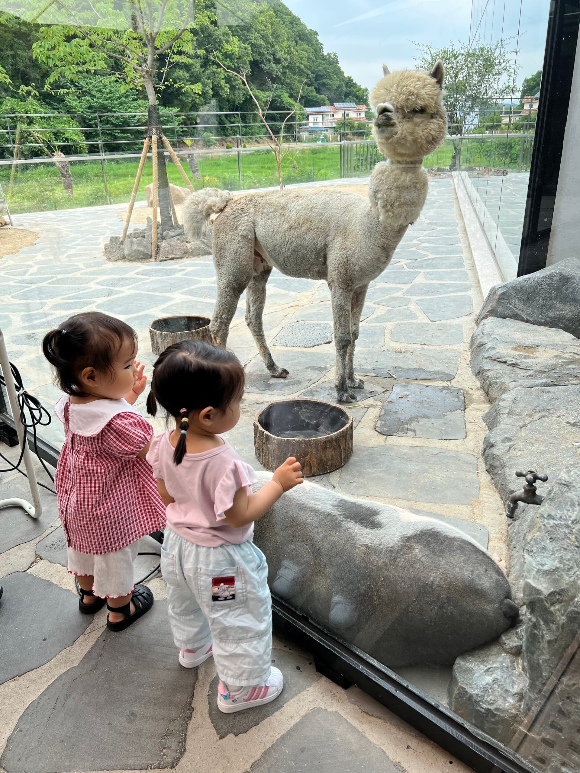 와글와글 동물원 대표 이미지