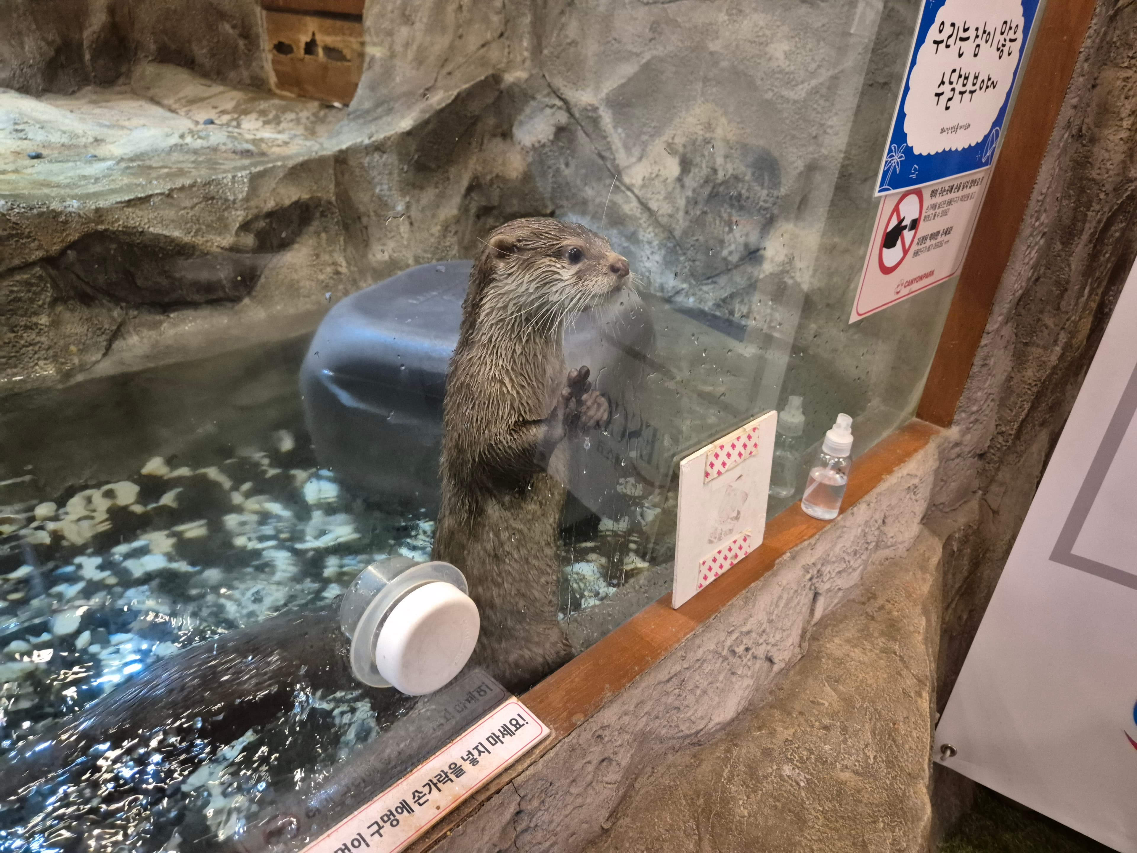 캐니언파크 울산점 대표 이미지 6