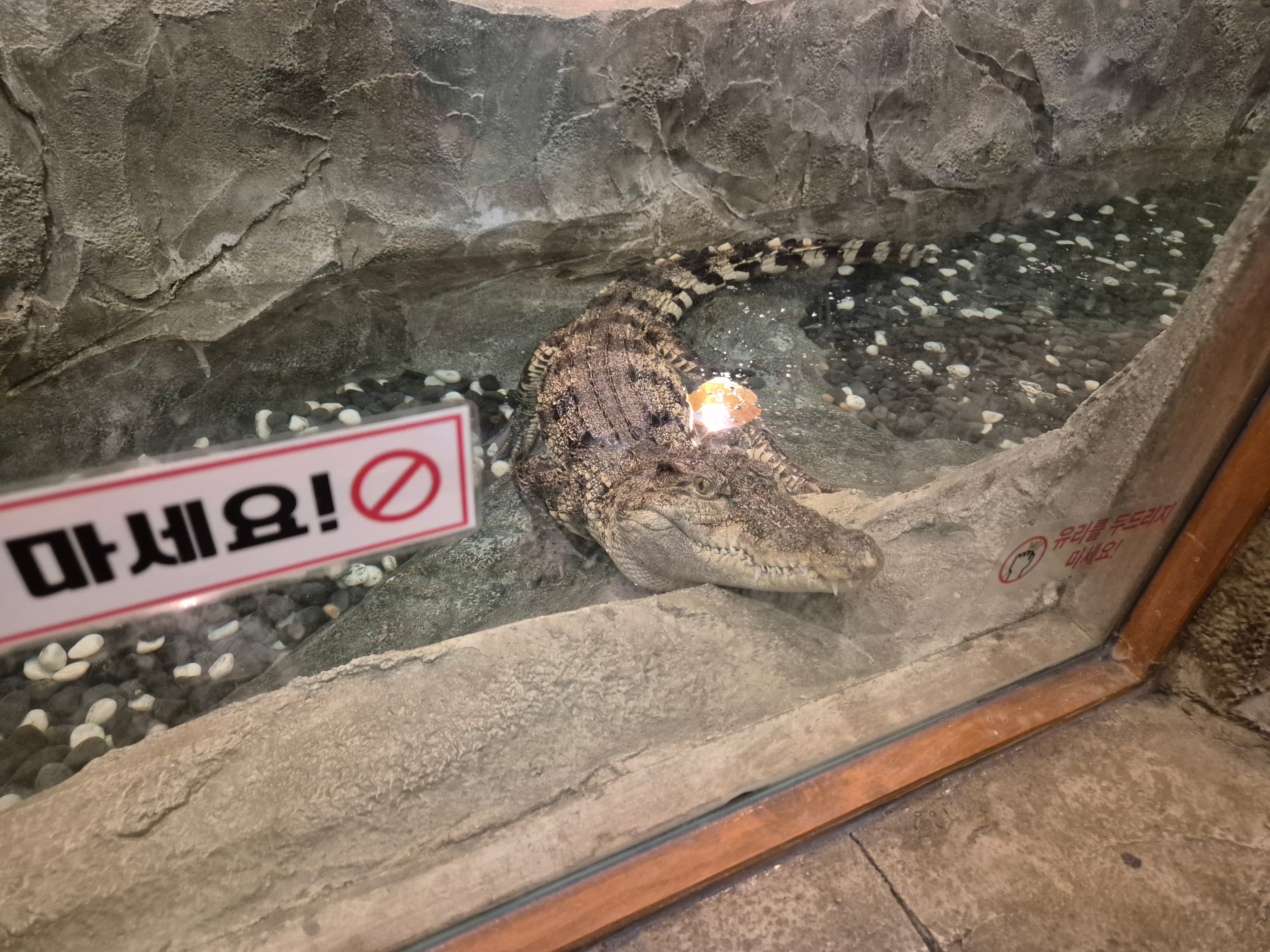 캐니언파크 울산점 대표 이미지 7