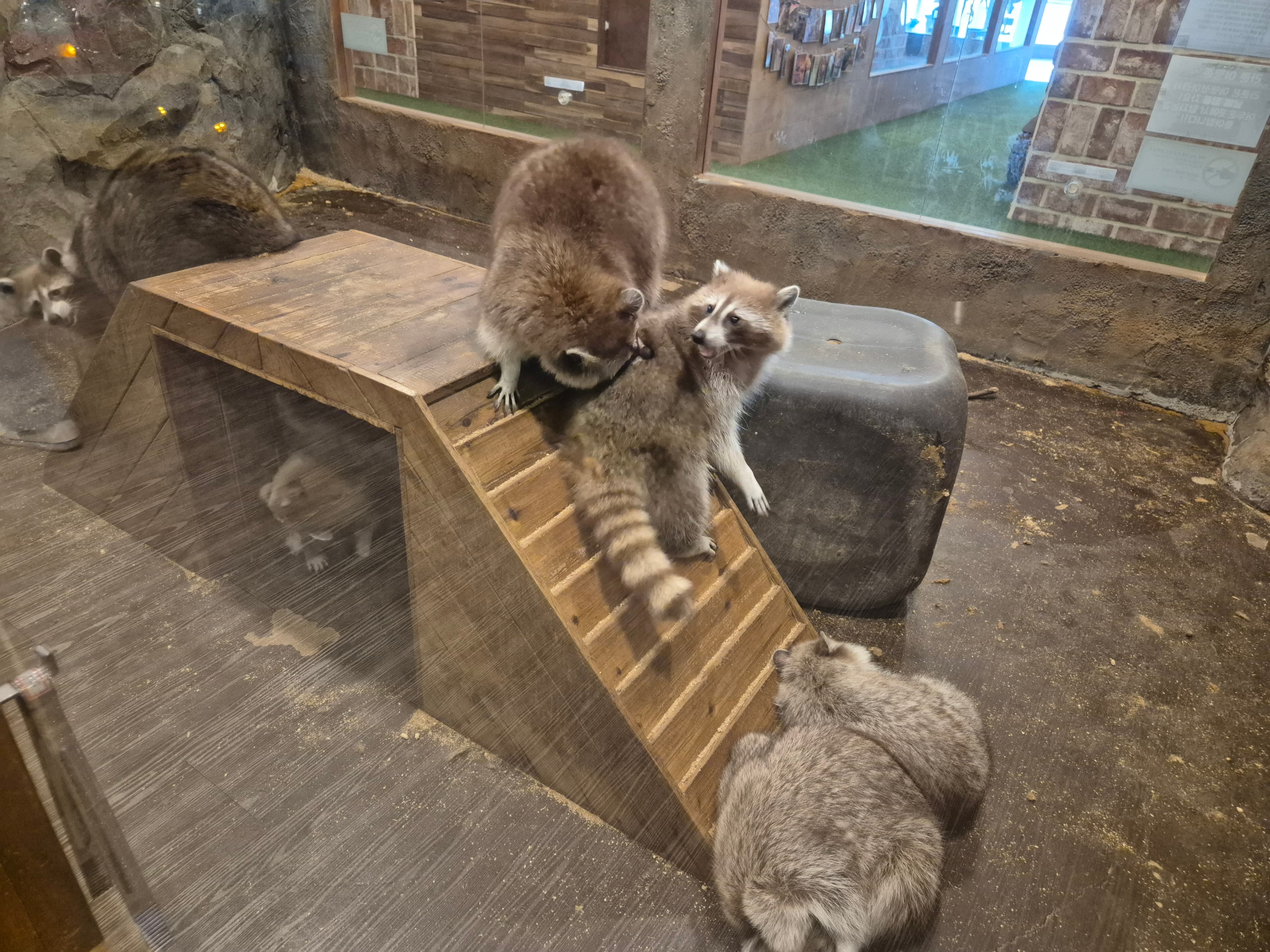 캐니언파크 울산점 대표 이미지 8