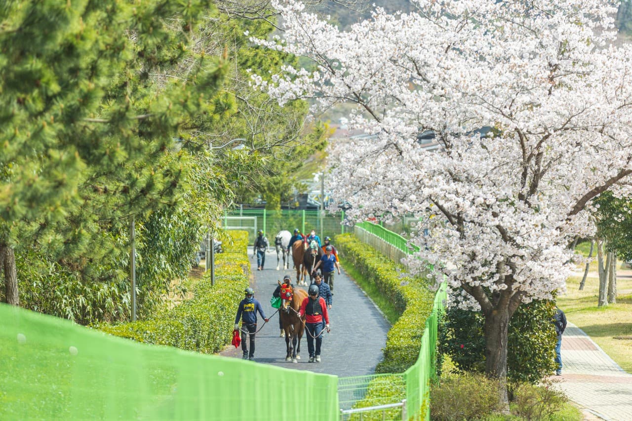 렛츠런파크 부산경남 대표 이미지