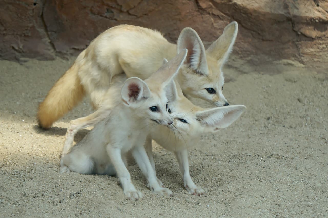 서천 국립생태원 대표 이미지