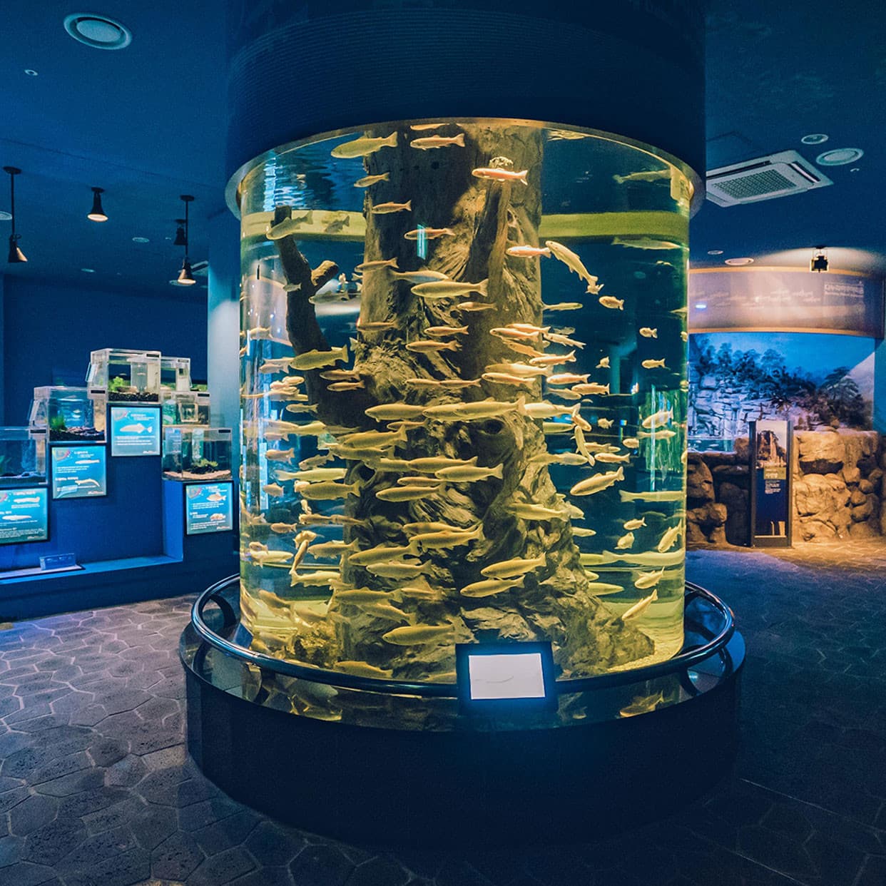 단양 다누리아쿠아리움 대표 이미지