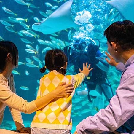 대구 아쿠아리움 대표 이미지