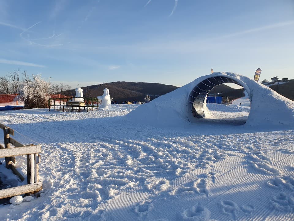하이원 리조트 스노우 월드 대표 이미지