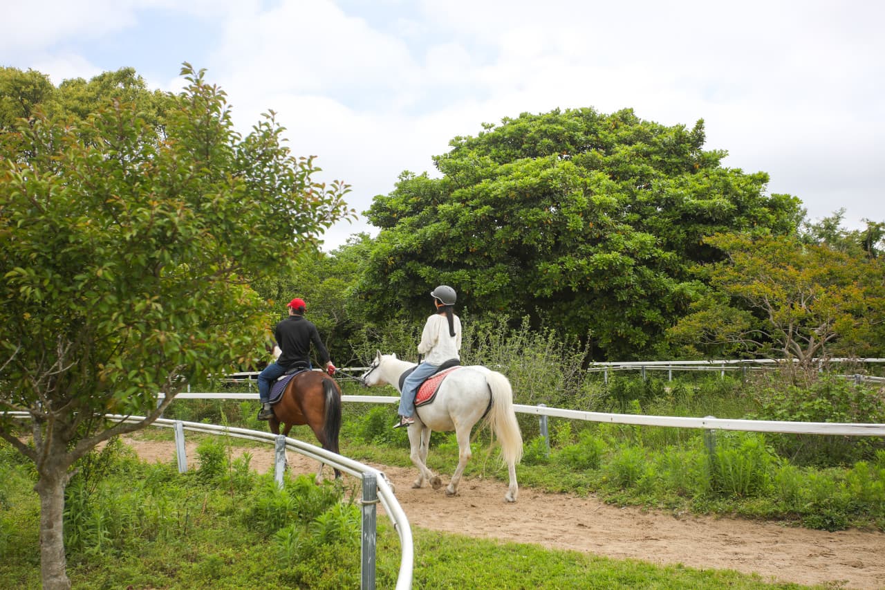 더마파크 대표 이미지