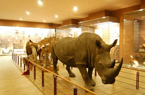 목포 자연사박물관 대표 이미지